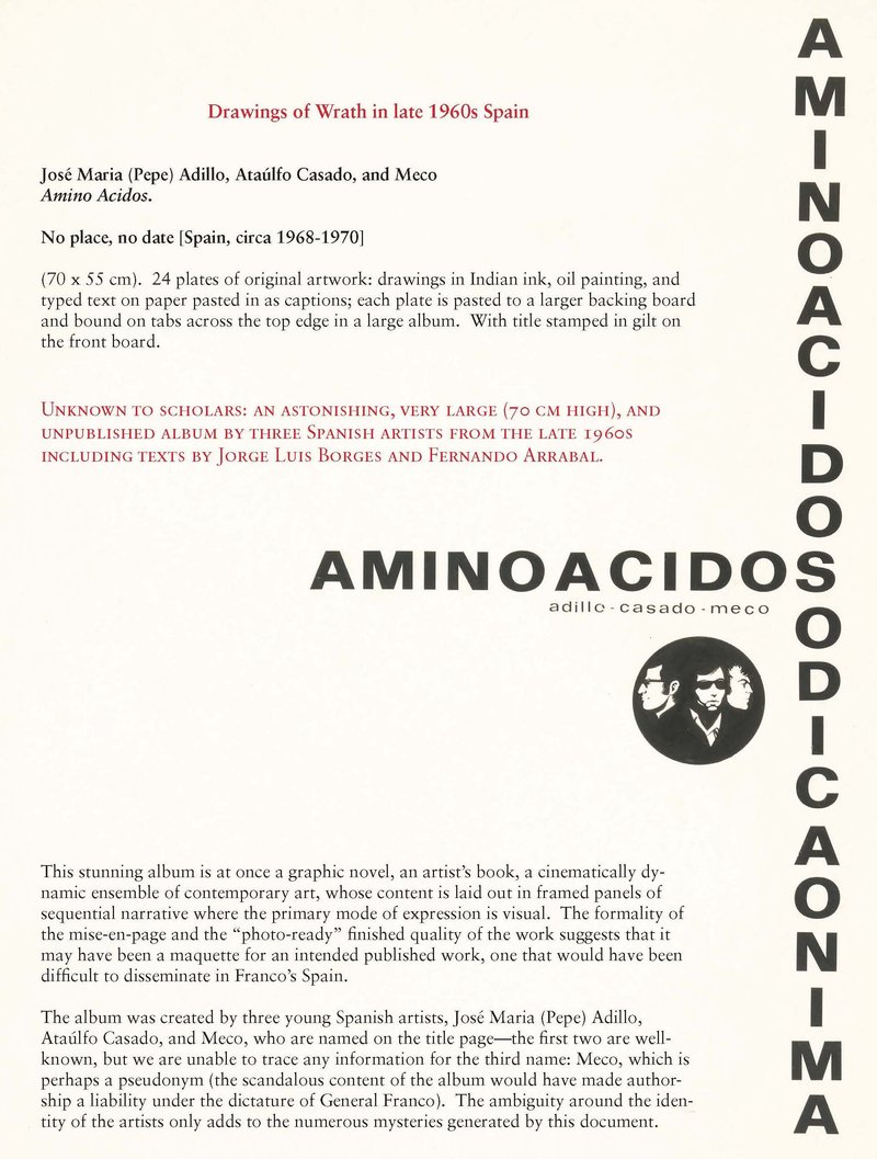 Amino Acidos page 3.1