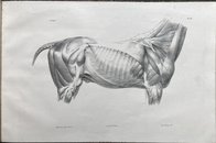 IMG_1536