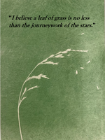 Screenshot 2026-01-18 at 12.49.18