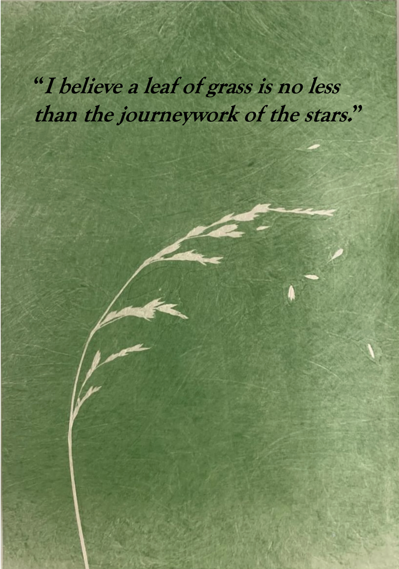 Screenshot 2026-01-18 at 12.49.18